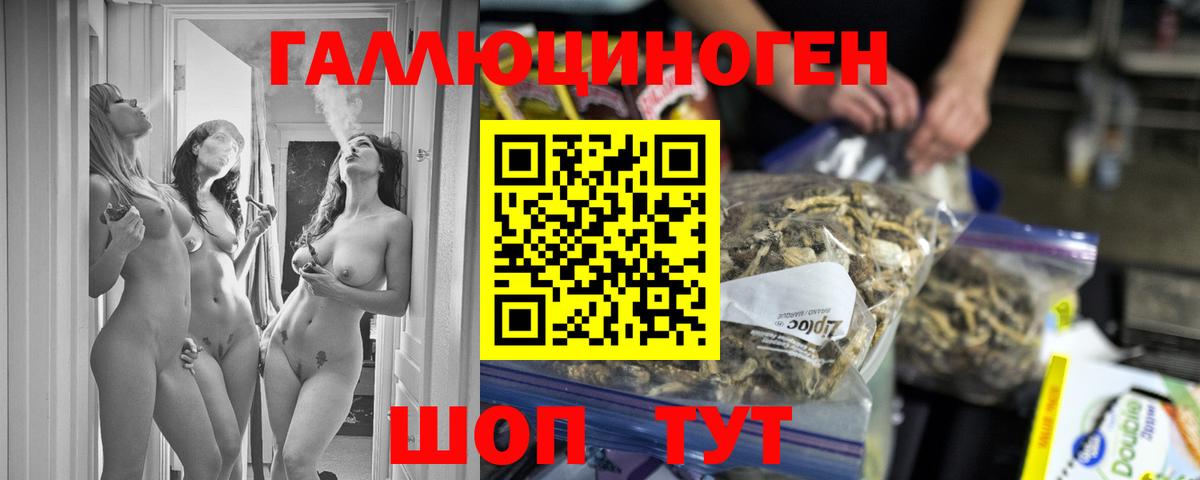 Псилоцибиновые грибы прущие грибы  Вход с VPN  где можно купить наркотик  Кудымкар  Псилоцибиновые грибы Psilocybe 